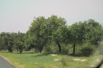 2024-08-05_14-49-59_B084F938-8F76-4565-94FE-DE84454E121E.jpeg