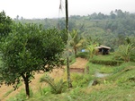 30843CIMG0693.JPG