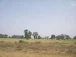 9069RIMG0149.JPG