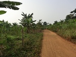 50298CIMG0927.JPG