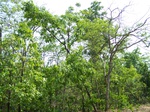17406100_2092.JPG