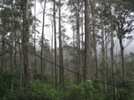 15023IMG_3836.JPG