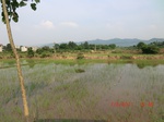 53901CIMG3251.JPG