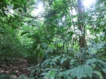 45708CIMG2793.JPG
