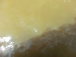 58103CIMG2397.JPG