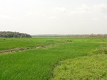 26751DSC00999.JPG