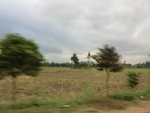 31358CIMG1220.JPG
