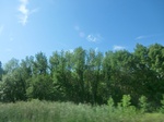 57059CIMG2357.JPG