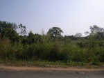 8993RIMG0069.JPG