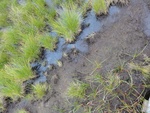 24936DSC00043.JPG