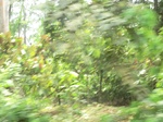 48685CIMG5022.JPG