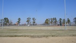9734DSC01410.JPG