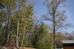 226IMG_4122.JPG