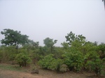 3876RIMG0180.JPG