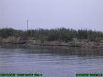 1570R0015234_tag.jpg