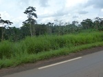 25186P1020026.JPG