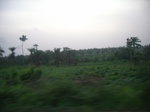 4093RIMG0398.JPG