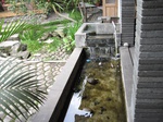 14775IMG_5167.JPG