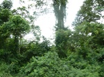 25722P1020140.JPG