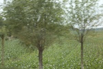 2024-08-05_15-52-08_51B89778-1CB0-4F5A-82AB-B69EA5B3C209.jpeg