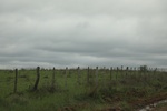2023-11-13_14-08-13_1FD2227B-AD69-4115-9F1D-07F23DEE08FC.jpeg