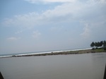 14111IMG_4445.JPG