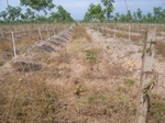 54283R0012447.JPG