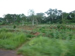 20194P1020048.JPG