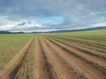 23295P1030010.JPG