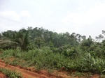 48999CIMG5336.JPG