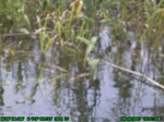1434R0015166_tag.jpg