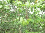 48878CIMG5215.JPG