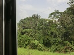 49799CIMG6136.JPG