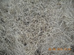 9469DSCN0916.JPG