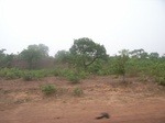 3972RIMG0276.JPG