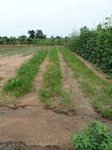 18740P1000578.JPG