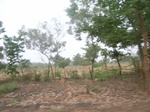 3990RIMG0294.JPG