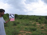 1192252-croplant-chena-abandant-1yr-a.gif