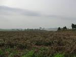 45831CIMG2916.JPG
