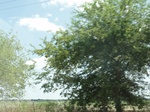 35106DSC02309.JPG
