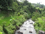 13691IMG_3952.JPG