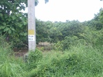 33628RIMG0293.JPG