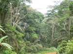 48716CIMG5053.JPG