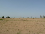 19101P1000946.JPG
