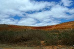28626P1010643-1.JPG