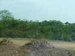 51546P1000716.JPG
