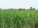 1687302052008(31).JPG