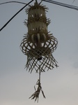 15938IMG_4488.JPG