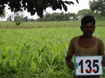 124970135c-irrigated-supplemental-minor-groundwater-sugarcane-turmeric-banana-plantation-grapes.gif