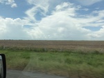 24730DSC00895.JPG